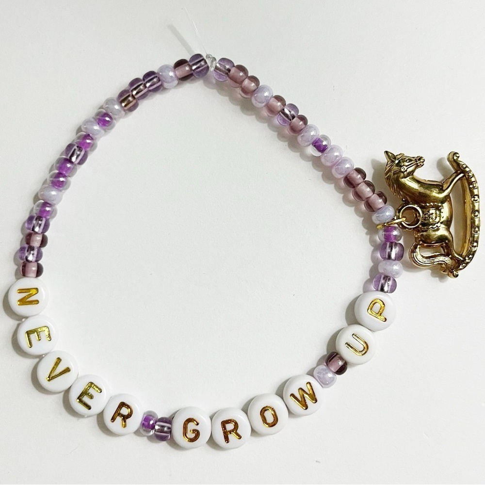 Taylor Swift Eras Tour Friendship Bracelet Speak Now Never Grow Up